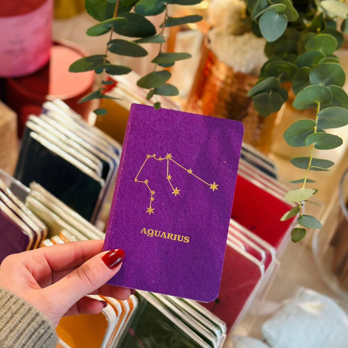 Feine  kleine Journals mit Sternzeichen-Motiv